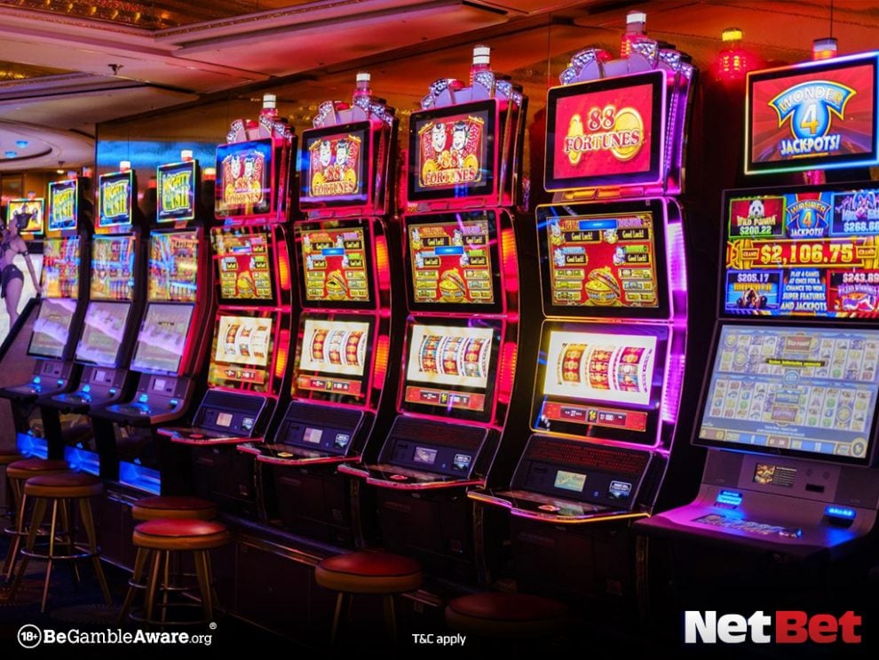 1d|Entre agora bingo online no Brasil Garanta seu Bônus